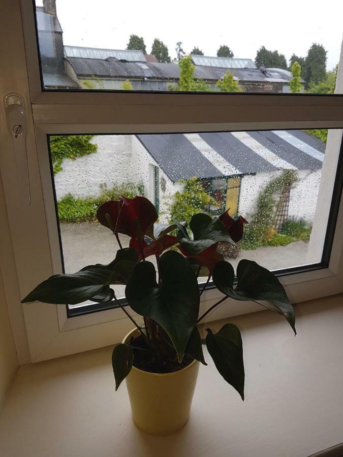 Glenbower House Leilighet Cork Eksteriør bilde